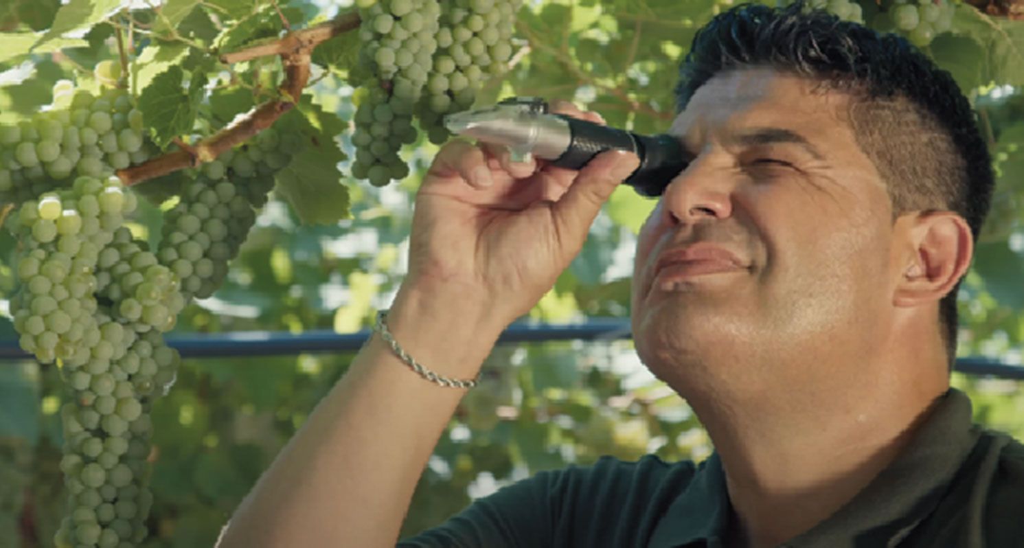 Progetto Terre D'Erce Spot Pubblicitario