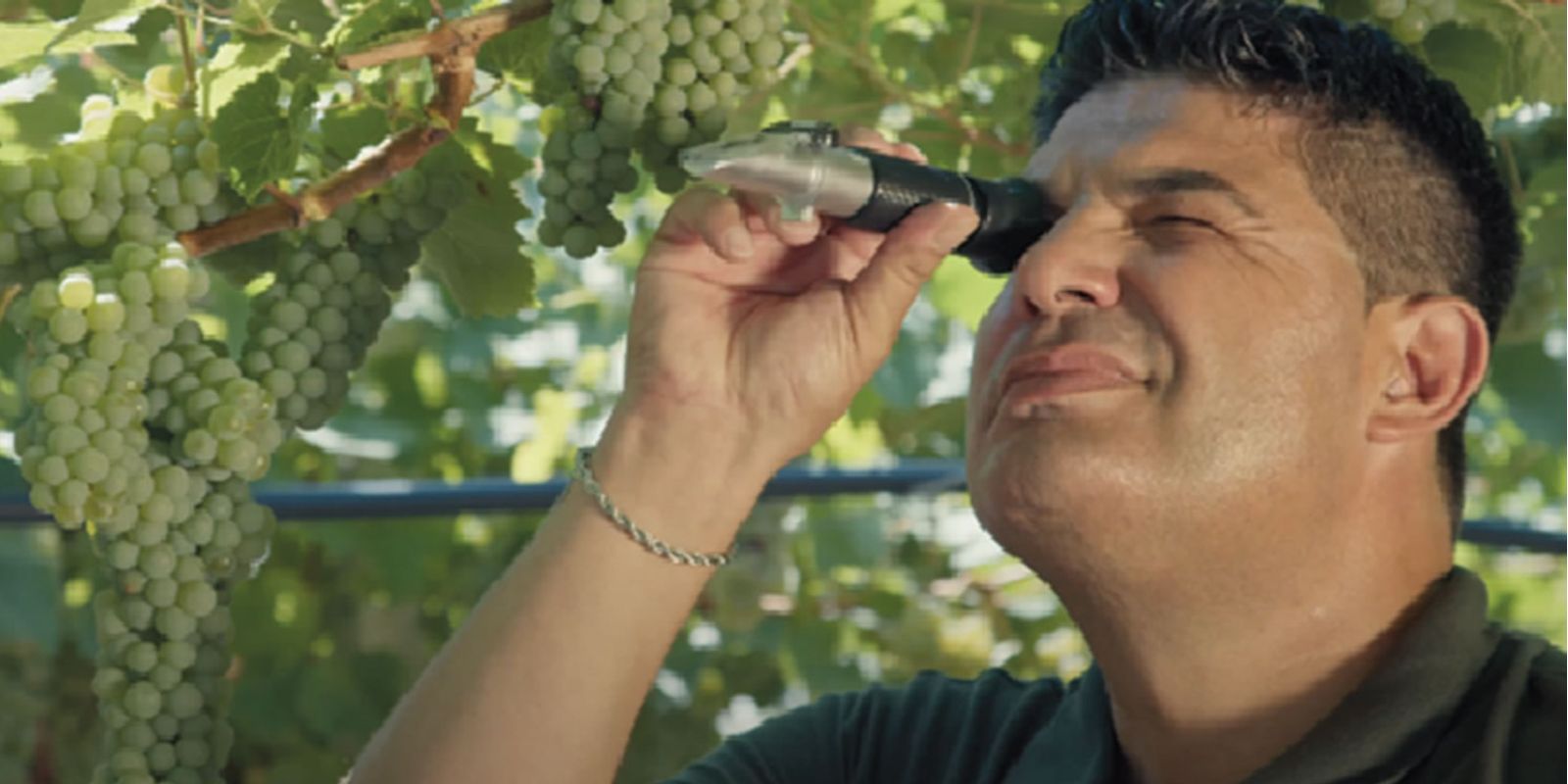 Progetto Terre D'Erce Spot Pubblicitario